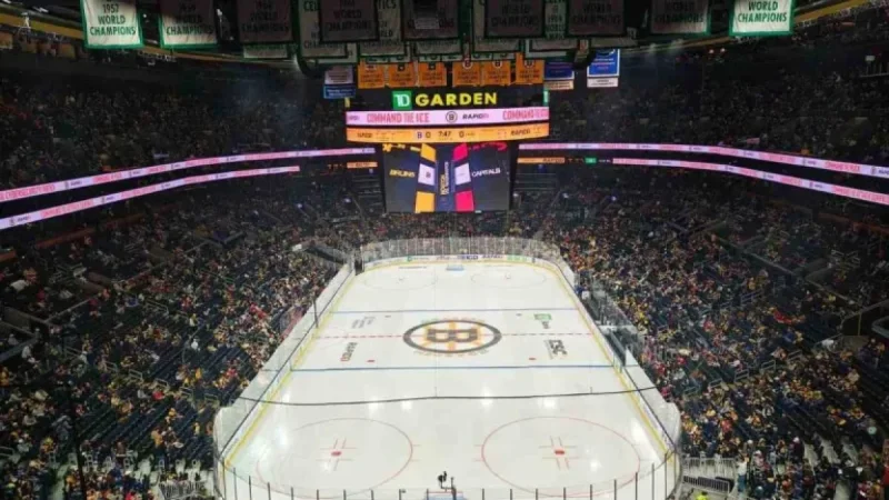 Bruins Defeat Capitals 3-1 in Post-Deadline Clash