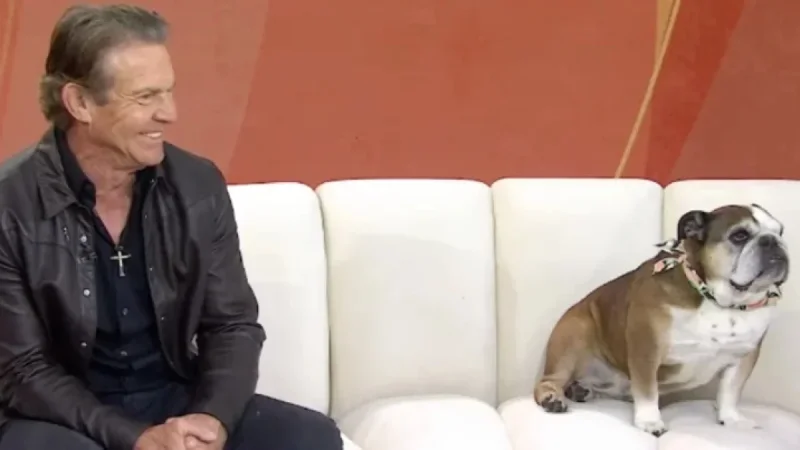 Dennis Quaid’s Dog Peaches Steals Live Segment — Anchors Can’t Stop Laughing