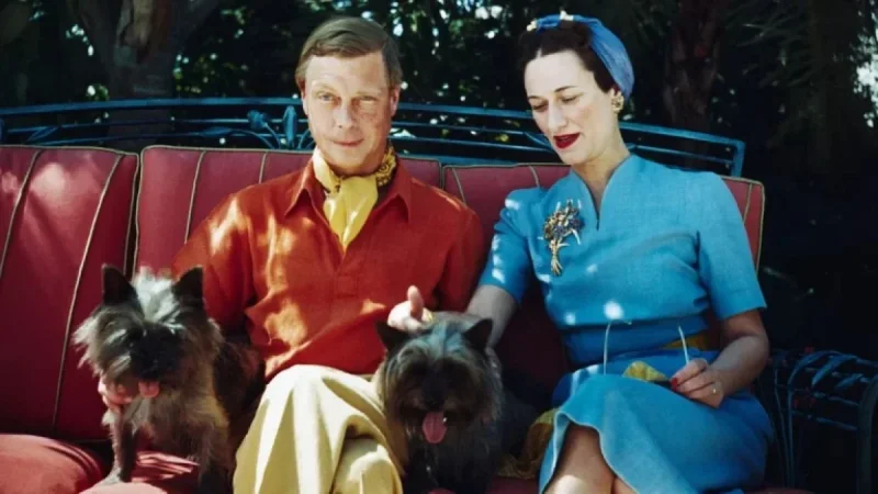 Crufts Best In Show 2026 exposes pageantry and contradictions at the world’s most famous dog show