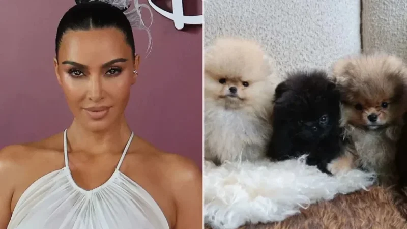 Kim Kardashian Reveals New Puppies for Kids Amid PETA Criticism