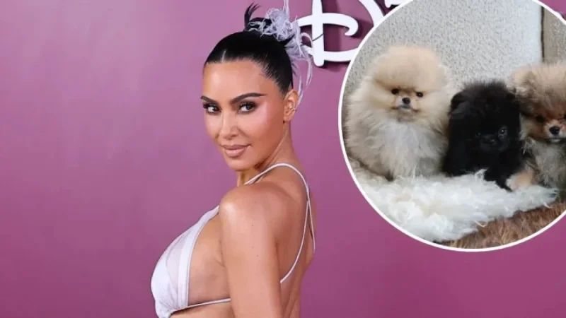 Kim Kardashian Shares Her 4 Puppies Despite PETA Backlash