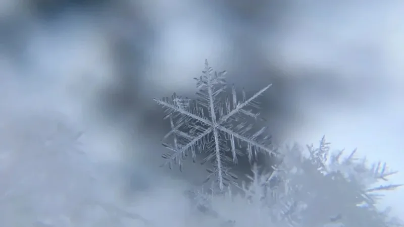 Snowfall Warning Looms Over Calgary: What 5 Key Risks Mean for Sunday Travel