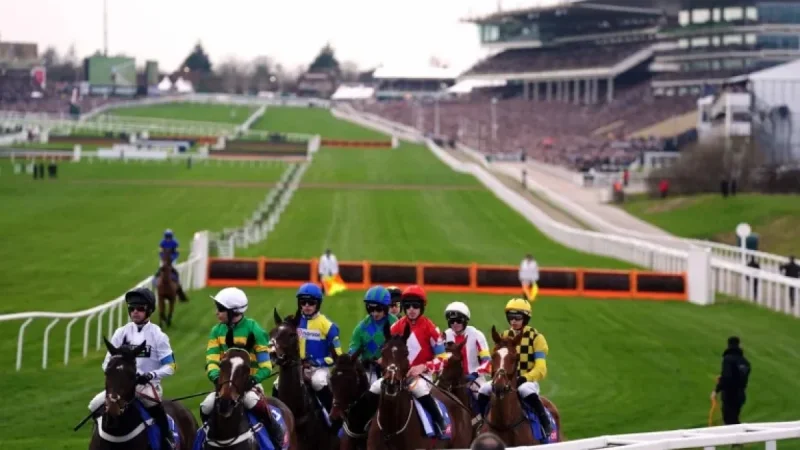 Cheltenham: Good-to-Soft Masking a Last-Minute Irrigation and Hurdle Re-siting