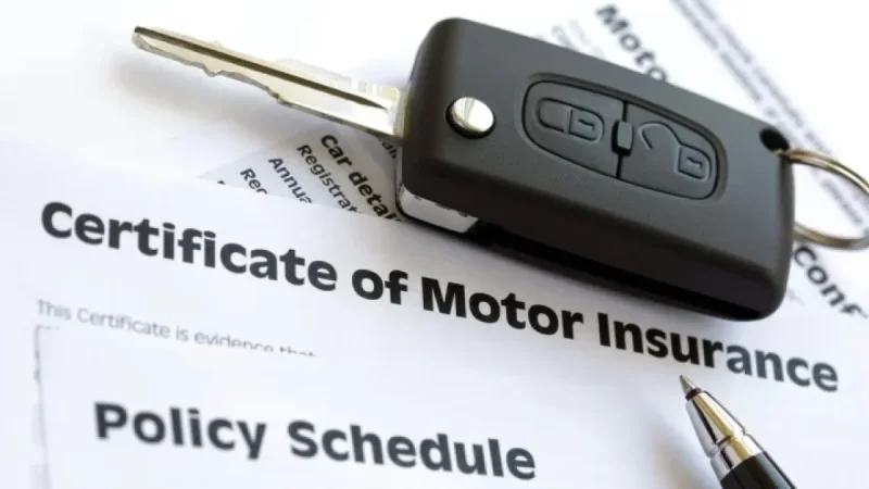 Dvla prosecution as SJP scrutiny sharpens: 91-year-old with Alzheimer’s convicted over less than a fortnight uninsured