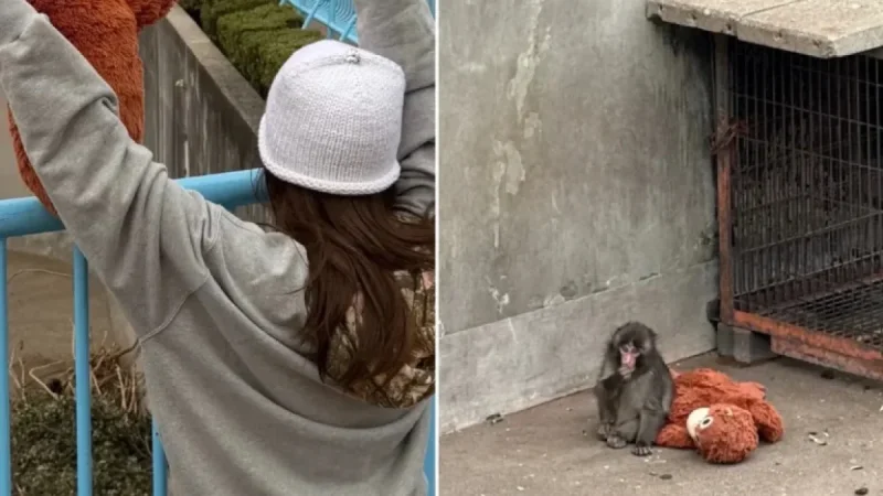 Lisa from Blackpink Meets Punch The Monkey