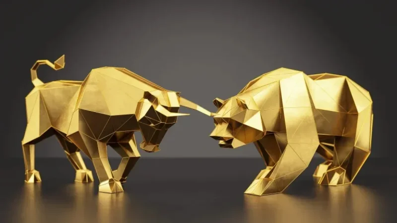 Market Volatility Rises, Yet Bullish Sentiment Prevails