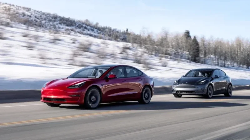 Tesla Share Price at a Crossroads: March 9 and the Human Stakes Behind the Numbers