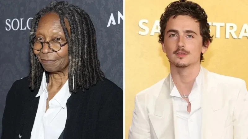 Timothée Chalamet Criticized on The View for Opera Comments