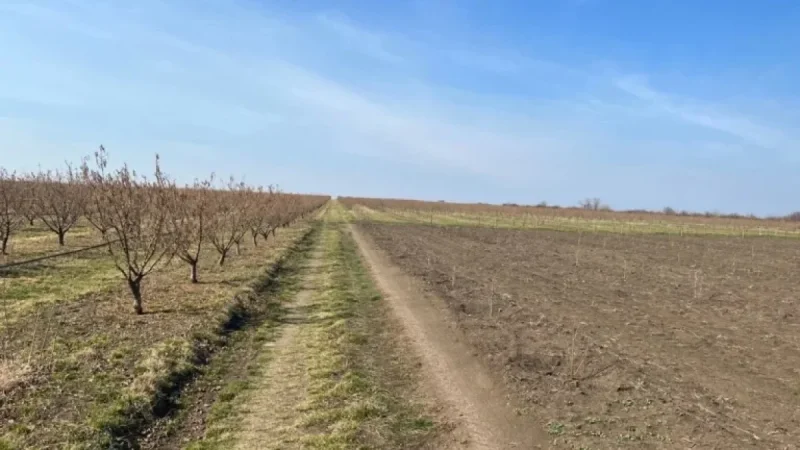 Vremea De Mâine: ANM’s March Outlook Signals a Warmer, Drier Start to Spring