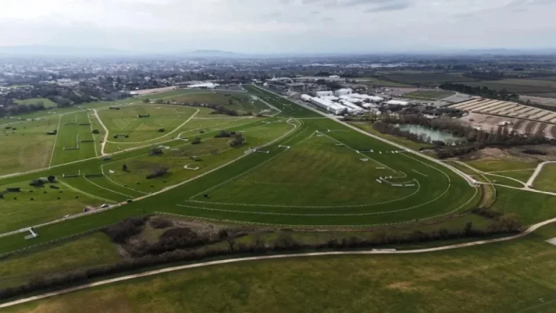 Hansard Horse death at Cheltenham exposes a welfare contradiction