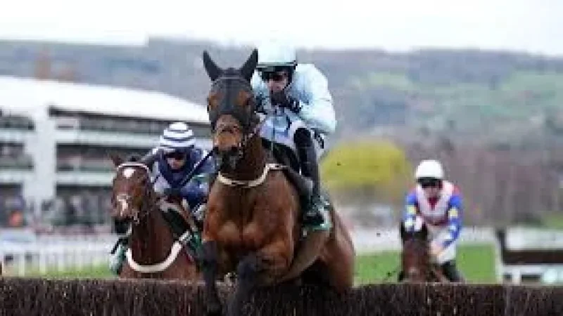 Kopek Des Bordes and the Arkle Shock: How Kargese Upset the Expected Duel
