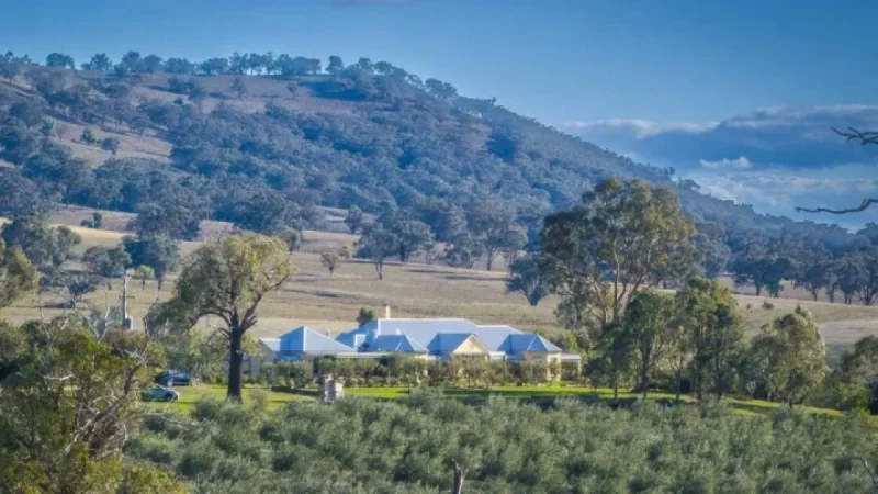 Mudgee corridor sale reveals contradiction at the heart of a premium agribusiness