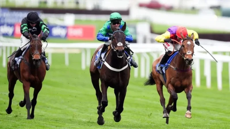 Nico De Boinville and the Hill: Old Park Star Wins Sky Bet Supreme Novices’ Hurdle