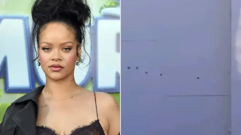 Police Identify and Arrest Suspect in Rihanna Home Shooting with AR-15 Rifle