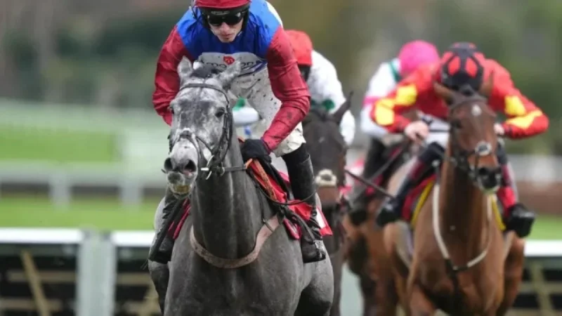 Racing Tv Focus: Cheltenham’s No Drama This End and the Barber Family’s Lasting Legacy