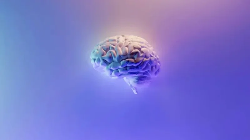Why Leaning on AI for Thinking Is a Mistake, Says Science