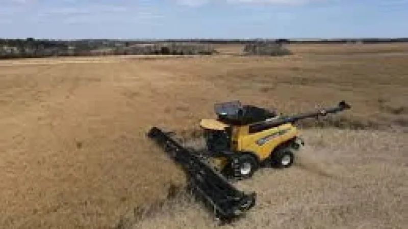 Kangaroo Island: Crop Farmers Well Placed as Parndana’s Wins Highlight Local Resilience