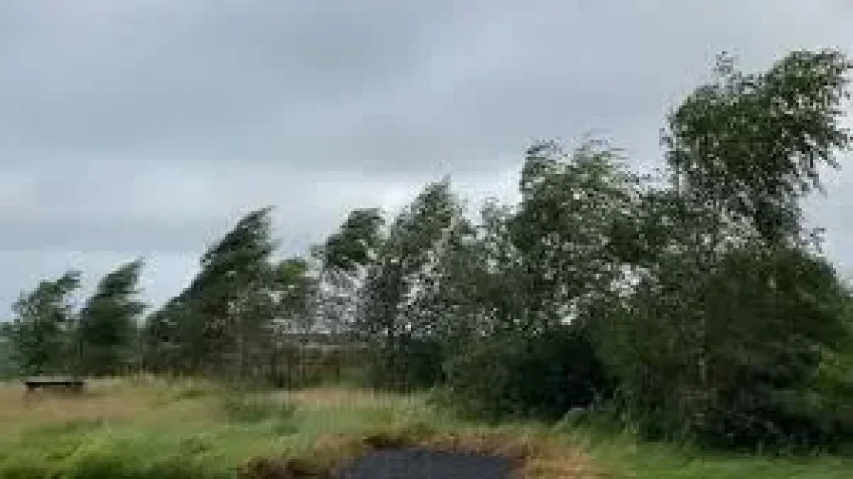 Yellow Weather Warning: A county on edge as strong winds and rain sweep ...