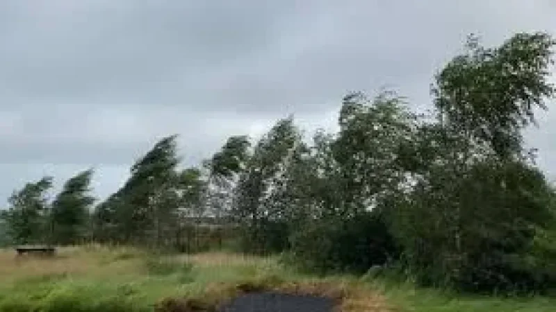 Yellow Weather Warning: A county on edge as strong winds and rain sweep in