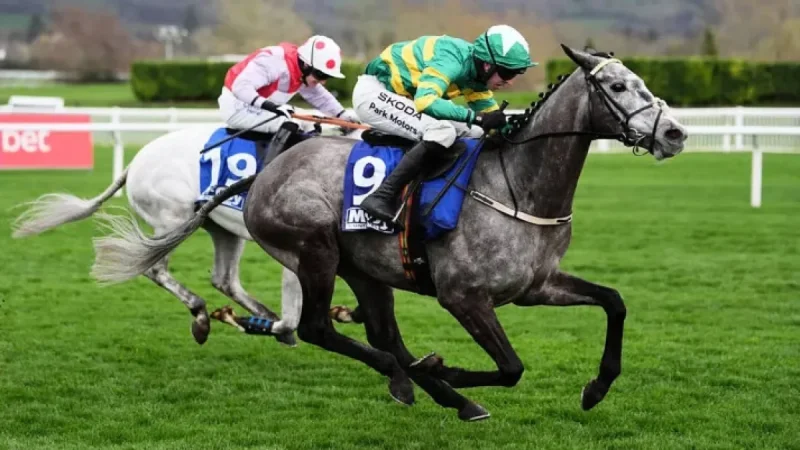Cheltenham Weather: How a tipster’s call and a presenter’s briefing are shaping day three