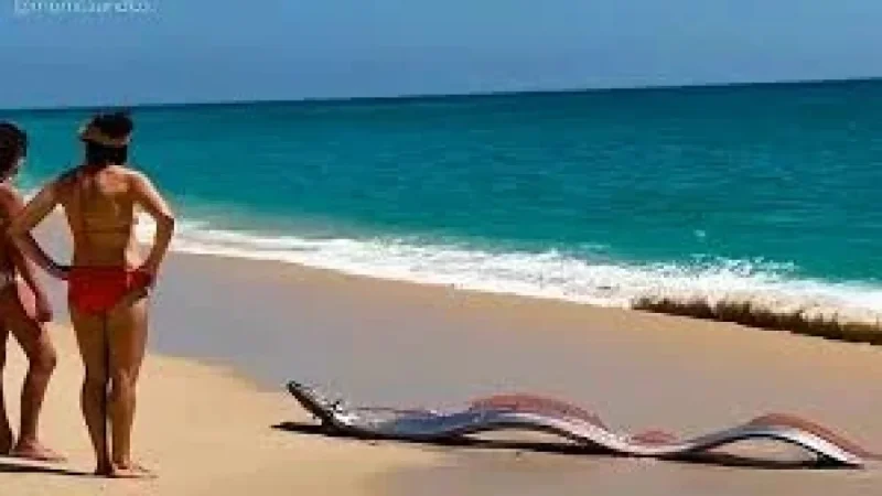 Doomsday Fish Wash Ashore in Cabo San Lucas — A Beachgoer’s Unforgettable Rescue