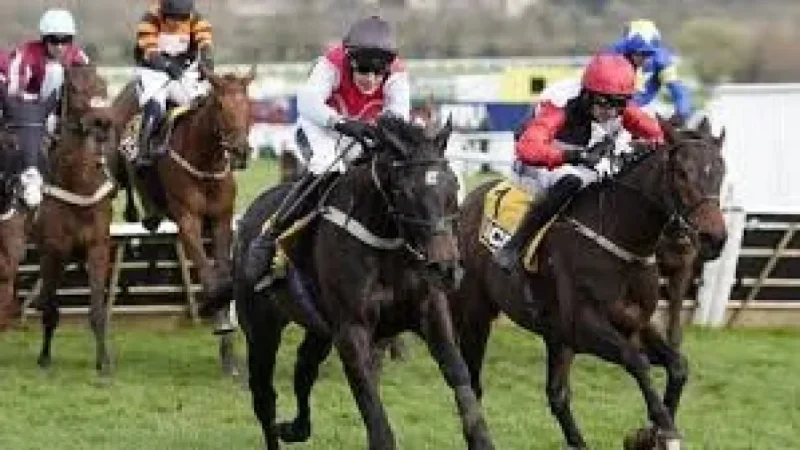 Cheltenham 2026 Results: 50-1 Triumph Hurdle shock exposes festival volatility