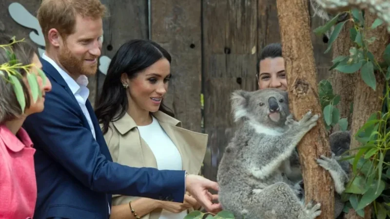 Harry and Meghan Visit Australia: Royal Tensions Persist