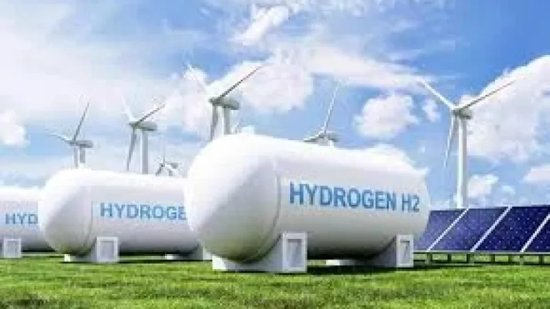 Hydrogen in Namibia: 5 Red Flags for Penguins, Succulents and a $10 Billion Promise