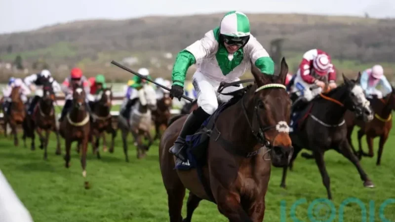 Jonjo O’neill: Cheltenham turning point as Wilful storms to County Hurdle victory