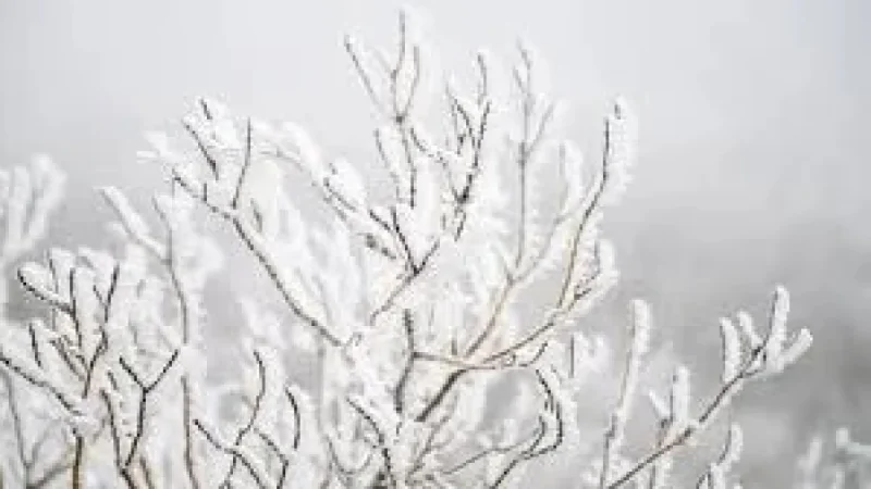 Ireland Weather Snow Sleet: Triple Status Yellow Warnings as 11 Counties Face Snow-Ice