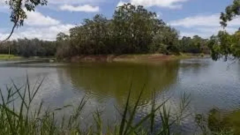 Wahiawa Dam danger exposes a fragile window: officials warn of breaching risk as water level nears failure point