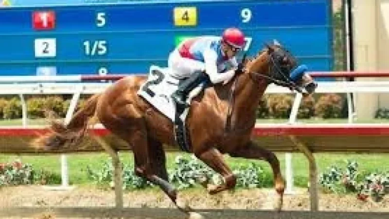 What Is The Triple Crown: A Virginia Derby Moment That Could Reshape a Derby Bid