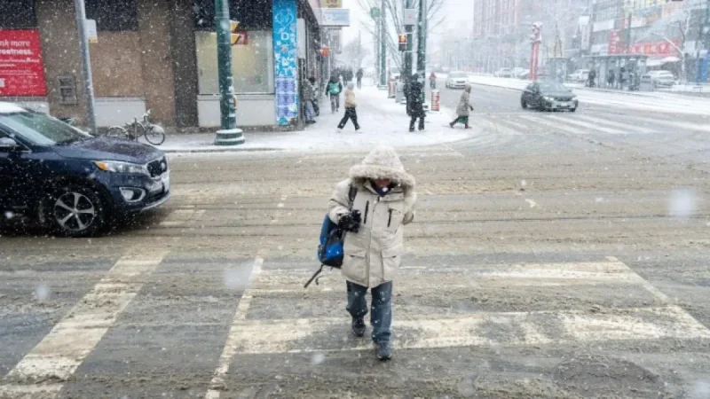 Snow Storm Weather Forecast: Toronto Warned of Snow, Freezing Rain and Gusty Winds