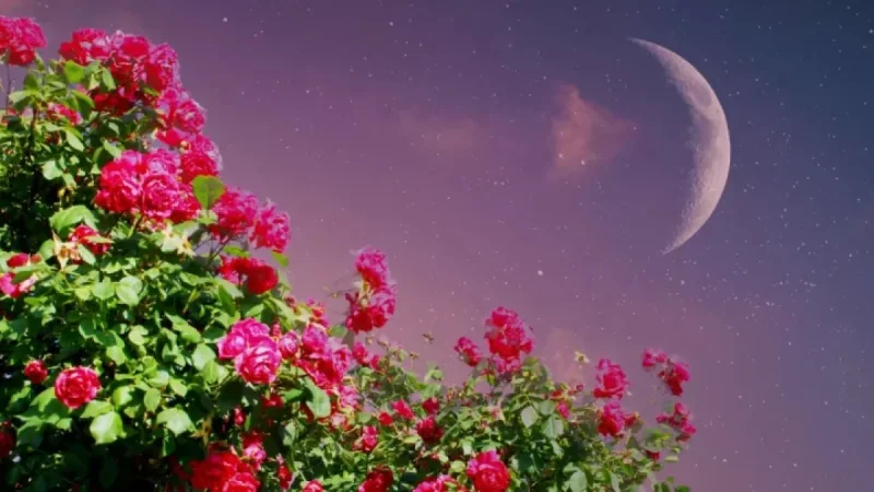 New Moon March 2026: The Pisces Inflection Point Arrives on March 18 (ET)