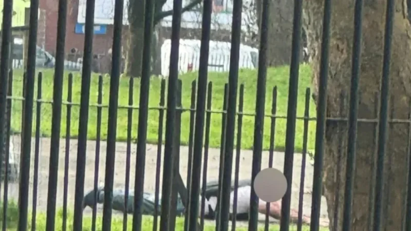 Mandley Park bomb scare: Armed police swarm after weighted gym vest sparks false alarm