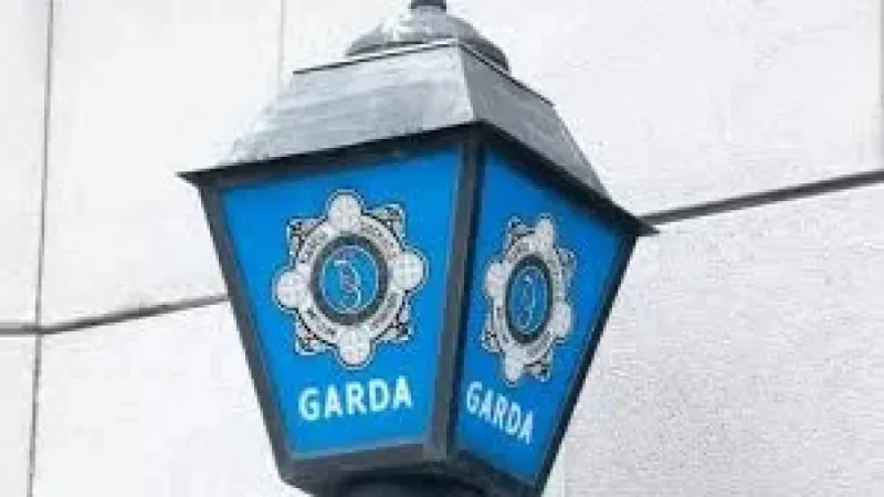 Birdhill: Woman in Critical Condition After Assault as Investigation Unfolds