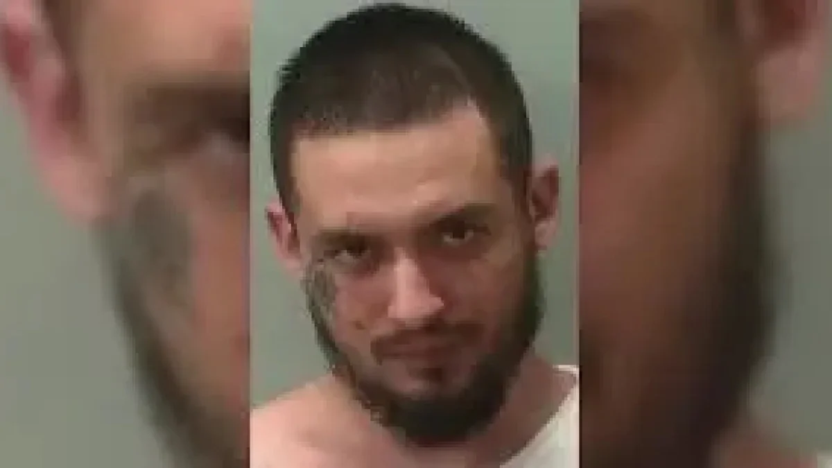 Amber Alert Near Me as the Case Moves Back to Upstate Court - El-Balad.com