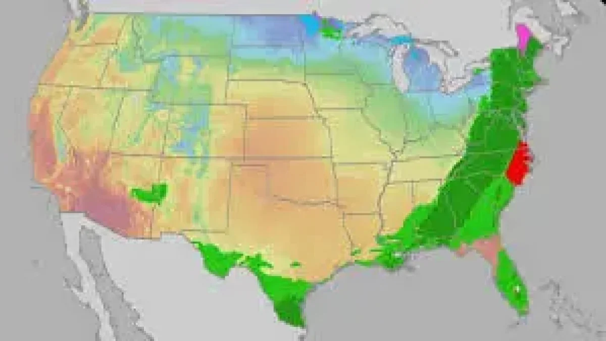 Easter Sunday Weather Outlook: Rounds of rain and storms to usher in ...