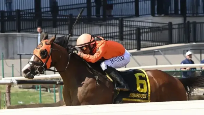 Aqueduct Racetrack: Yo Daddy’s Listed Excelsior breakthrough and 5-race surge