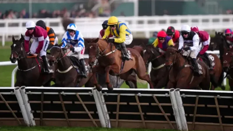 Firefox Horse: Grand National odds and stamina questions at Aintree