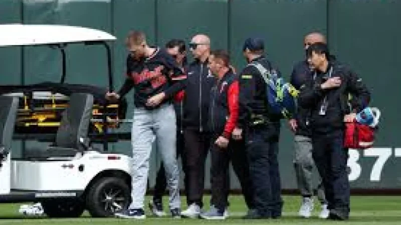 Riley Greene-Parker Meadows Collision Leaves Tigers Without Two Outfielders