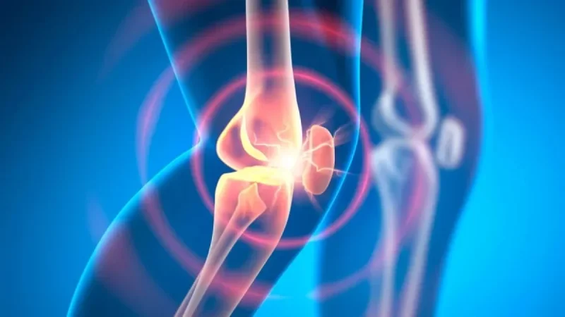 Animal Study: Experimental Drug Reverses Osteoarthritis in Weeks