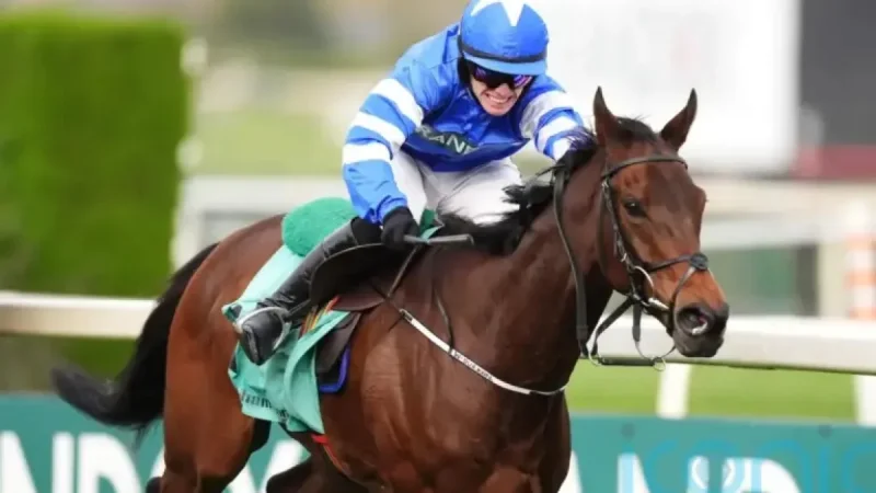 Laafi Grand National Winner Disqualified: How One Finish Changed Everything