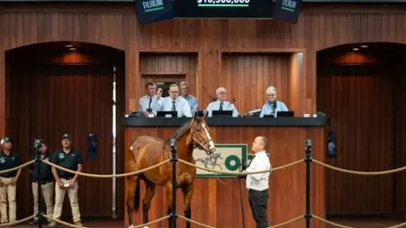 Flightline Colt Breaks OBS Record with $10.5M Sale