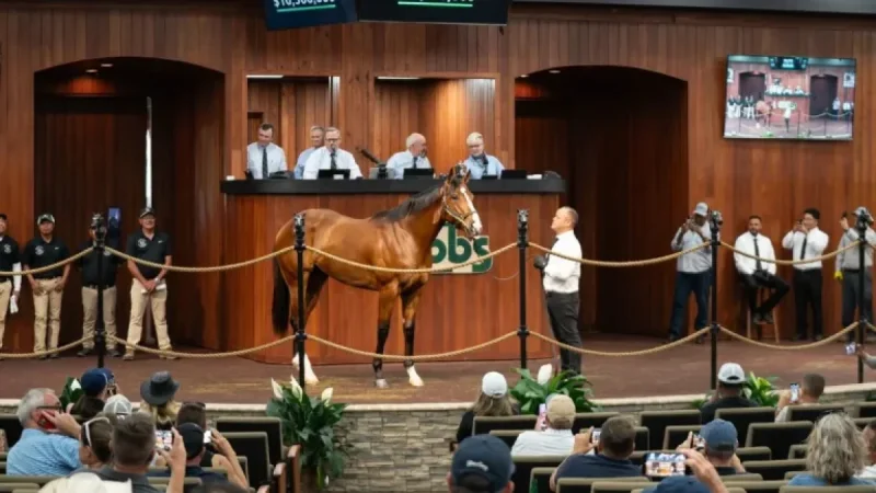 Flightline Colt Sells for $10.5 Million at OBS April Sale