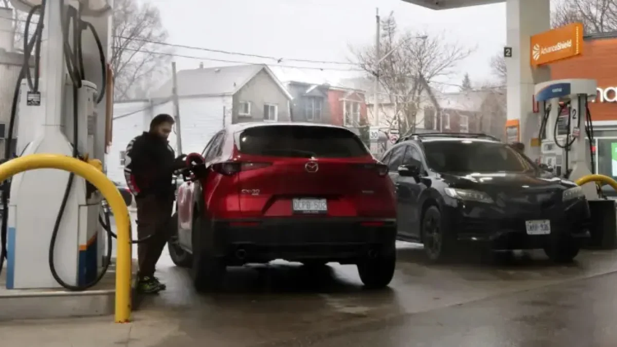 Roger Mcknight Gas Prices: Why Monday’s Tax Cut May Not Reach Drivers ...