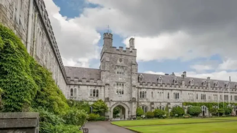 Sam O Sullivan Ucc Rugby: The abandoned playoff that exposed how fast a crisis can change everything