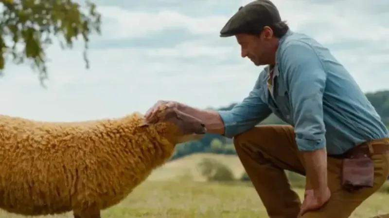 Sheep Detectives: 7 things Hugh Jackman’s cosy crime caper gets right