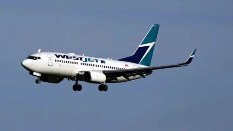 Westjet Flight Attendant Labor Dispute Reveals a Bigger Fight Over Unpaid Work