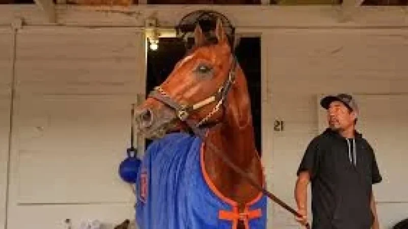 Mike Repole Threatens The Jockey Club Lawsuit With Renegade At Derby